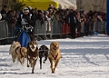 2009-03-14, Competition de traineaux a chiens au Bec-scie (111635)